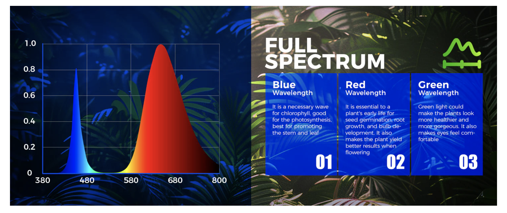 Light Spectrum Graph