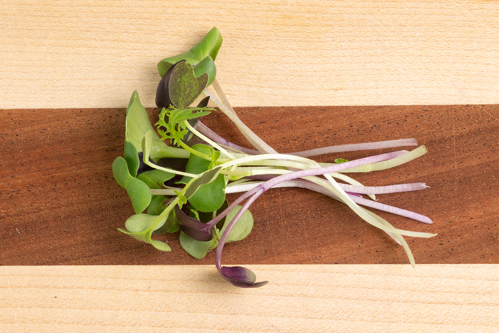 Piedmont Microgreens - Spicy Salad Mix
