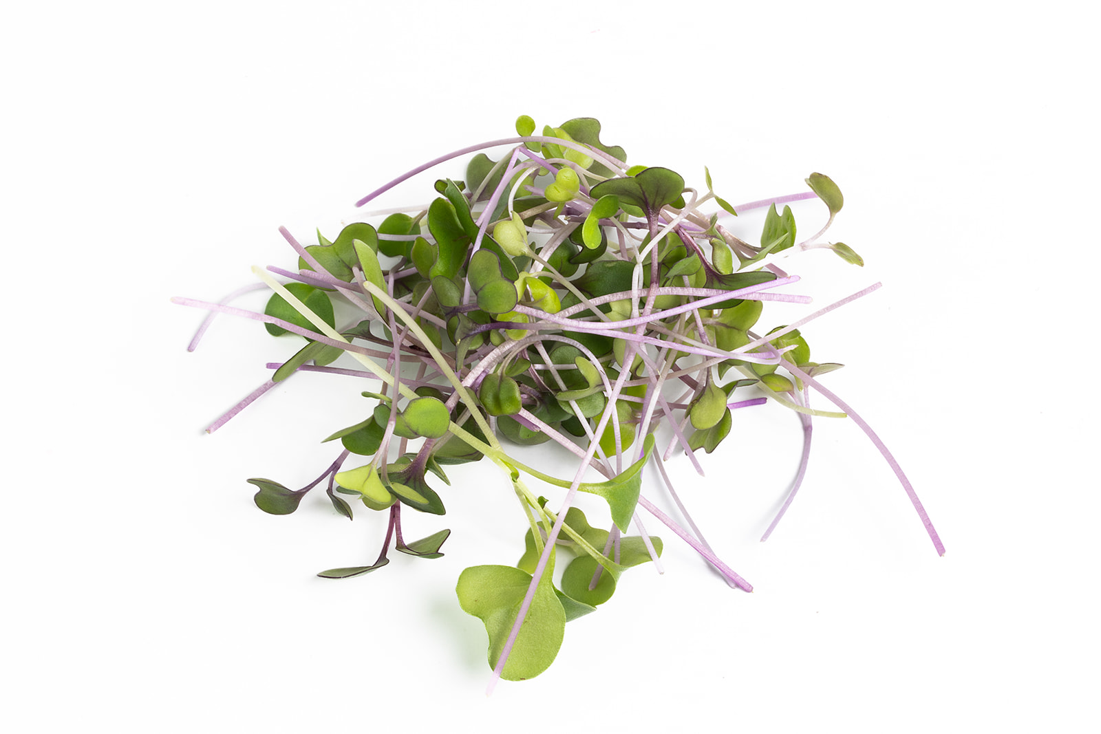Piedmont Microgreens - Nutrition Mix