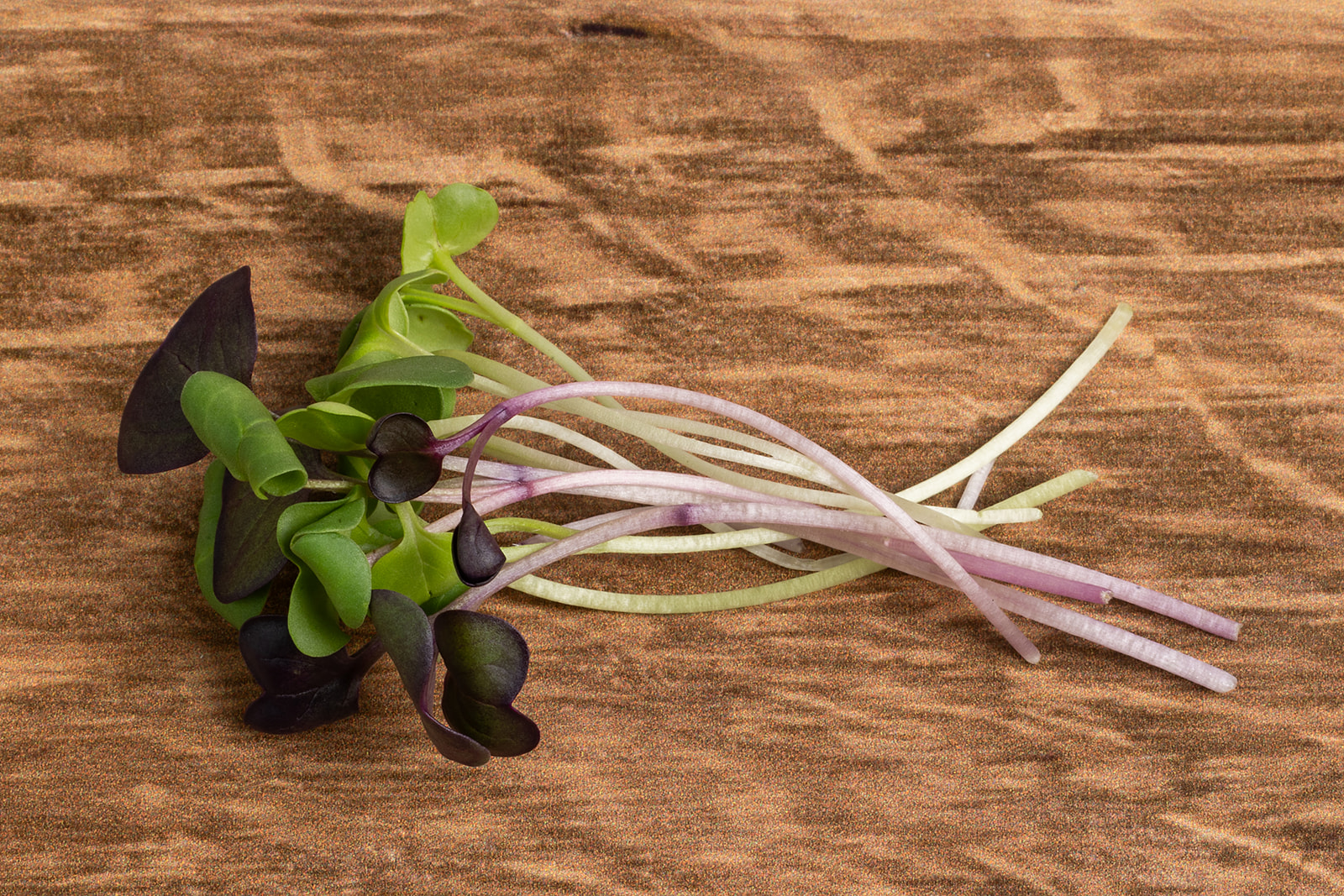 Piedmont Microgreens - Radish Trio