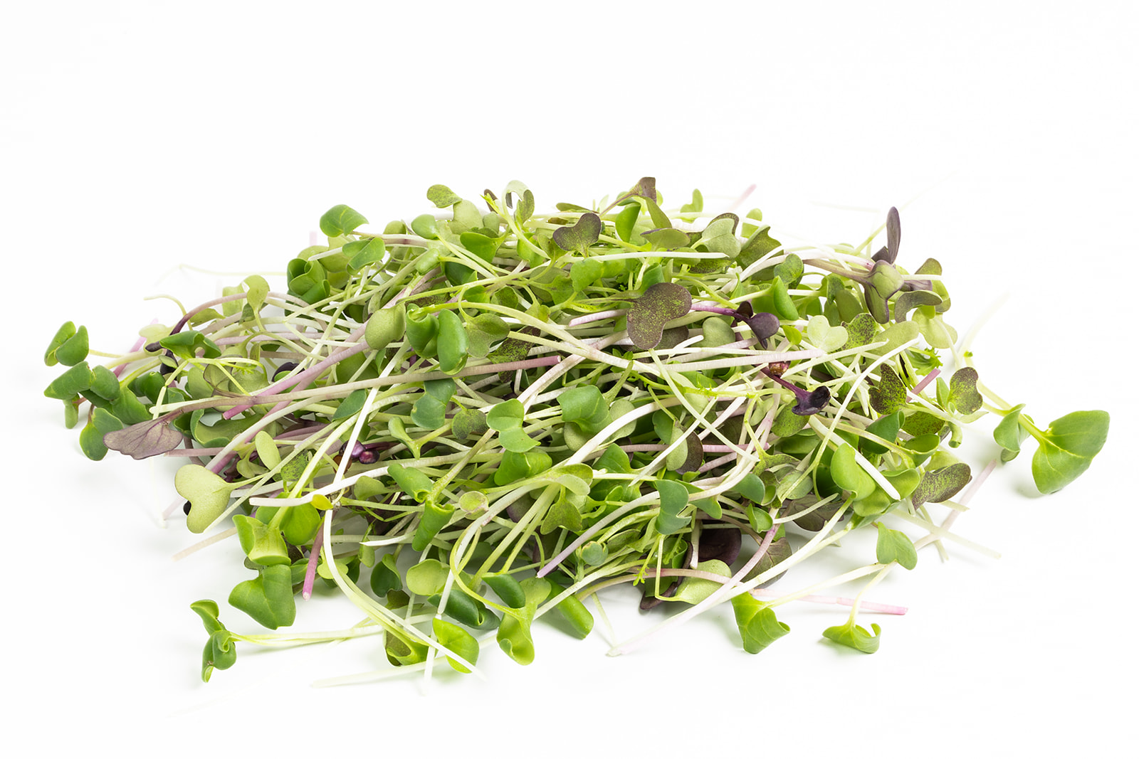 Piedmont Microgreens - Spicy Salad Mix