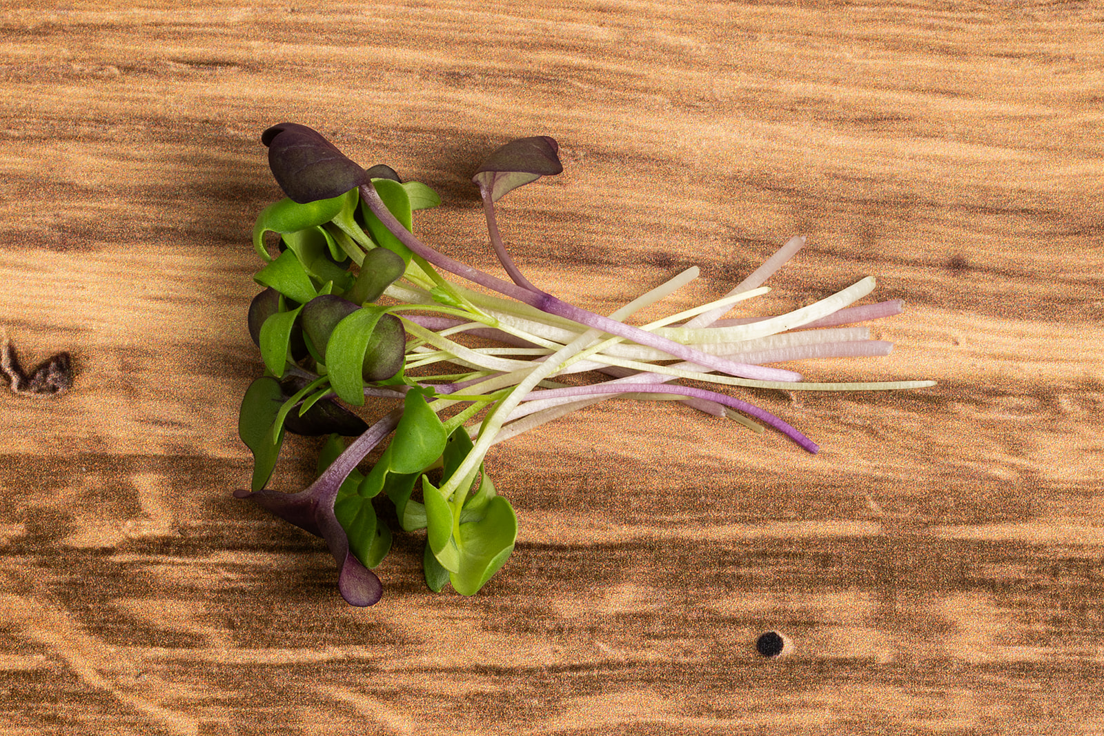 Piedmont Microgreens - Taco Mix