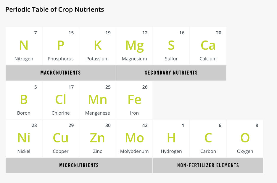 microgreen-plant-nutrients-and-fertilizer-labels-22be390f-3c99-812f-9fa7-e22e198494b6.png